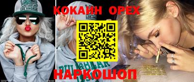 индика Можга