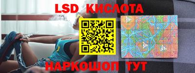 индика Можга