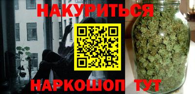 индика Можга