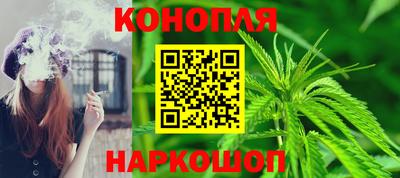 индика Можга