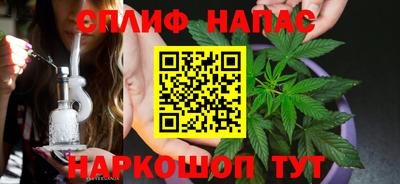 индика Можга