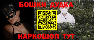 индика Можга