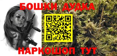 индика Можга