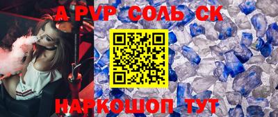 индика Можга
