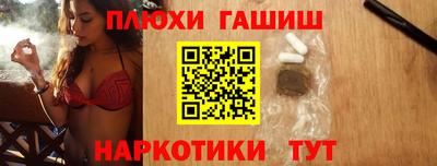индика Можга