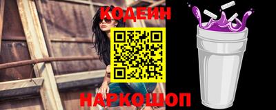 индика Можга
